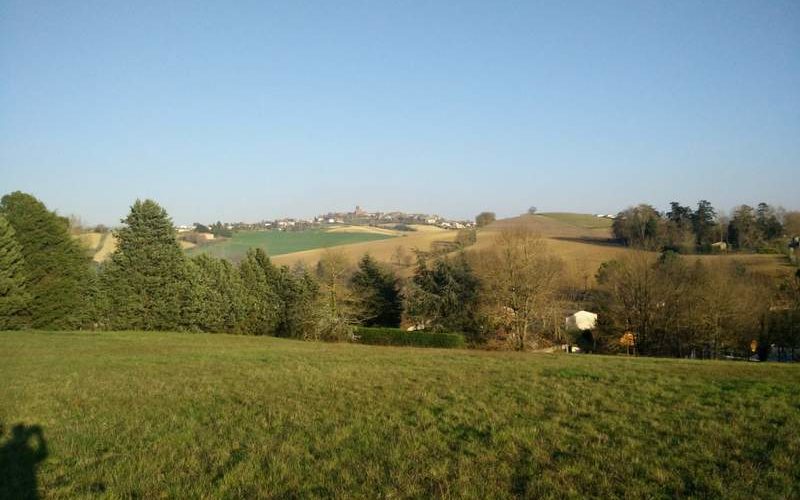 les hauts de verfeil idélia